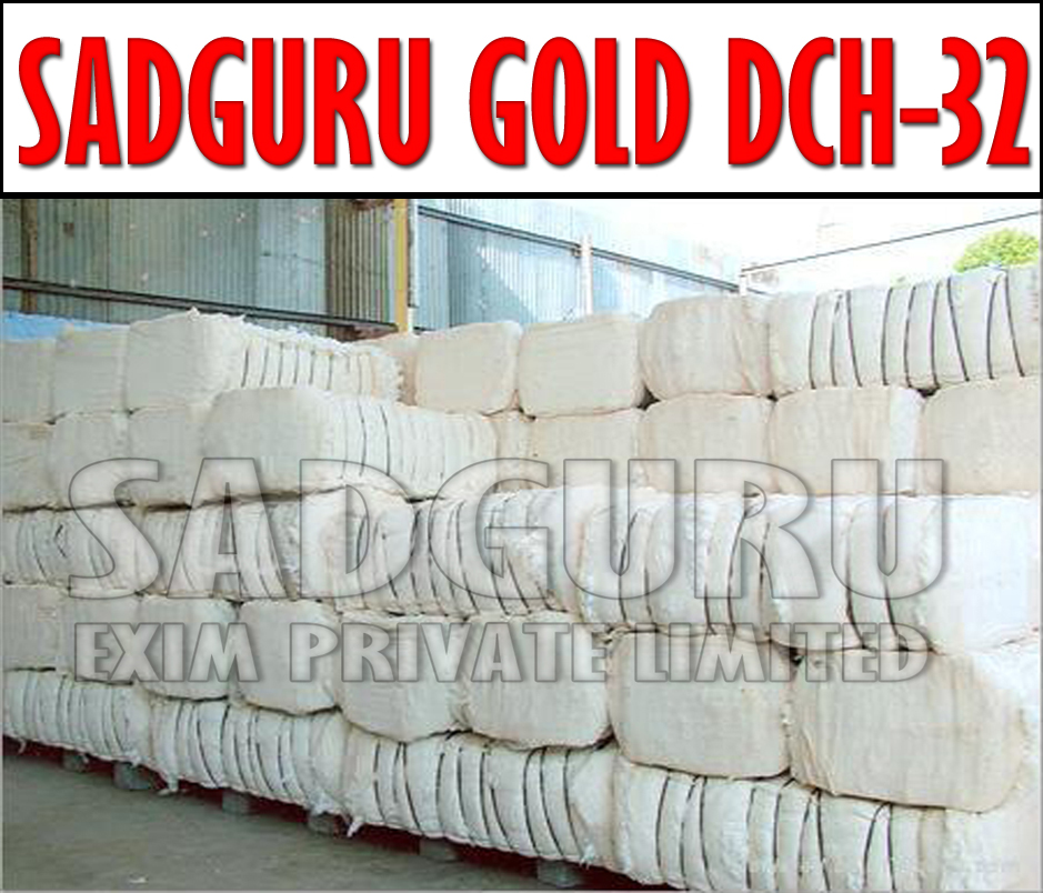 Sadguru Gold Dch-32 Raw Cotton Manufacturer Supplier Wholesale Exporter Importer Buyer Trader Retailer in jamnagar Gujarat India